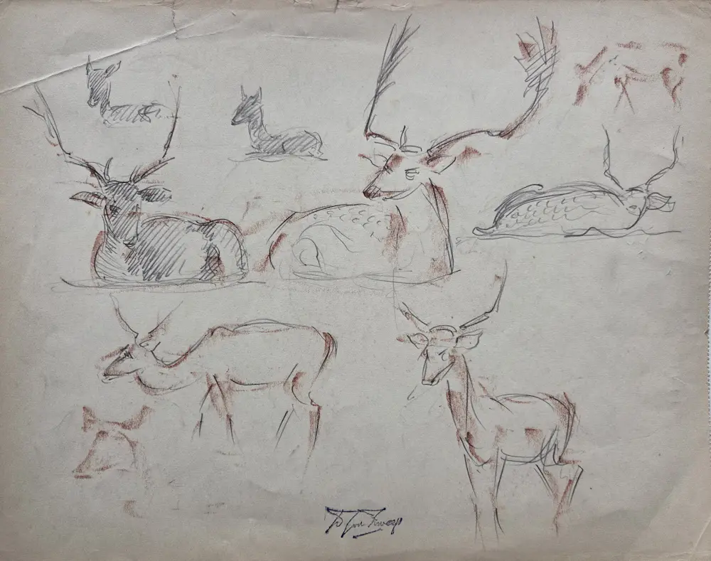 Douwe Jan van der Zweep (1890-1975)