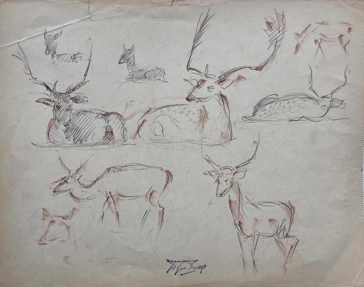 Douwe Jan van der Zweep (1890-1975)