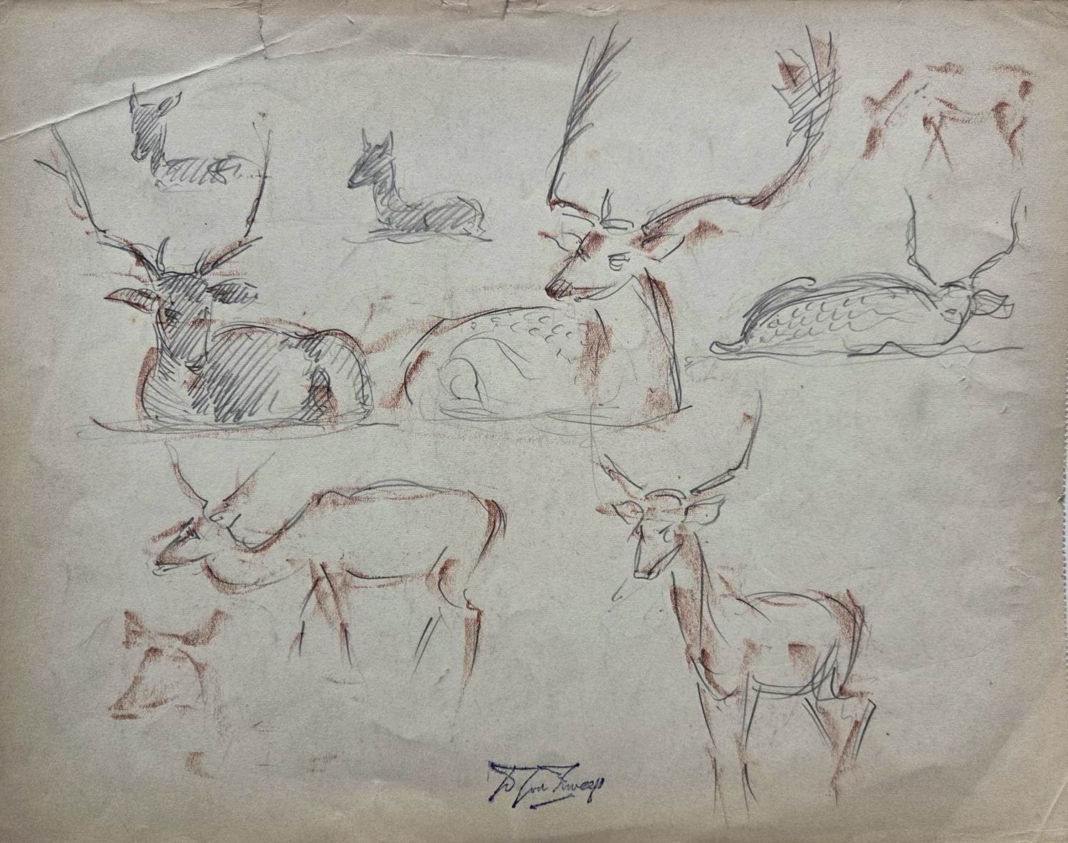 Douwe Jan van der Zweep - Herten. Atelierstempel. kopen? Bied vanaf 89!