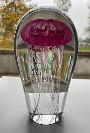 Petr Kuchta - “ Jellyfish “ kopen? Bied vanaf 290!