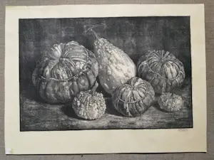 Anton Wirtz - Litho Pompoenen kopen? Bied vanaf 29!