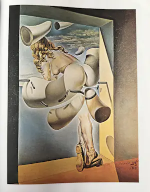 Salvador Dali - Twee boeken over Salvador Dali. Één boek is in originele verpakking. kopen? Bied vanaf 30!