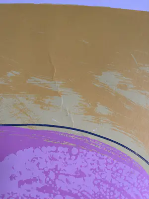 Ton van Kesteren - TWEE ZEEFDRUKKEN kopen? Bied vanaf 59!