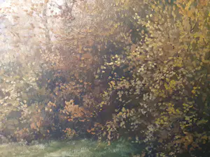 Frans Baaijens - Bos bij Vasse kopen? Bied vanaf 145!