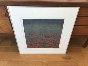 Hans Dolieslager - Klaprozen - kopen? Bied vanaf 120!