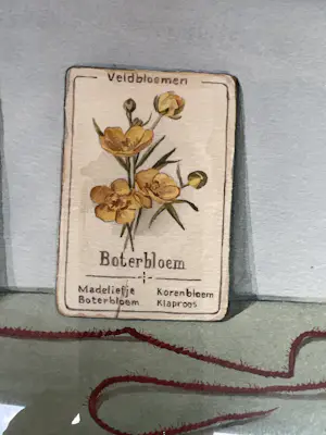 Ria Tensen-Kooy - Mei Juni kaufen? Bieten Sie von 40!