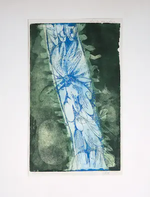 Kees Okx - Kleurenets, Vlinder paradijs kopen? Bied vanaf 35!