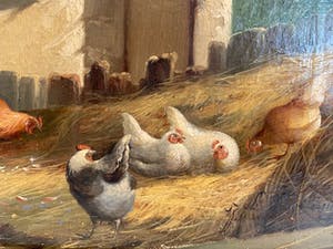 Jef Van Leemputten - Kippen in de staal kopen? Bied vanaf 400!