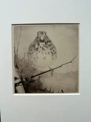 Jan Mankes - Heliogravure " Lijster op tak " kopen? Bied vanaf 175!