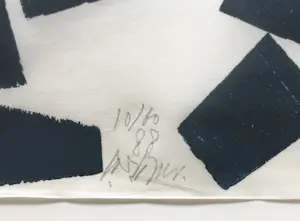 Carel Visser - houtdruk - 1988 - gesigneerd en genummerd - oplage 60 - ingelijst. kopen? Bied vanaf 250!