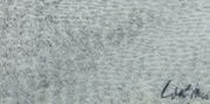 Toine Corstjens - Hoogstam kopen? Bied vanaf 195!