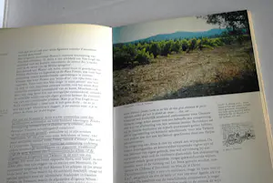 Vincent van Gogh - Het verloren schetsboek uit Arles, 2016 & 3 andere kopen? Bied vanaf 50!