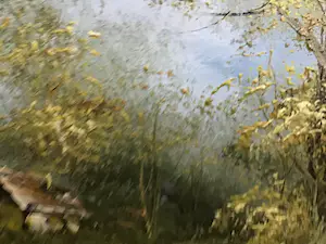 Niet of onleesbaar gesigneerd - Bosgezicht met vennetje kopen? Bied vanaf 1!