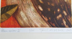 Toni de Klerk - Ets, Titel Athene noctua II kopen? Bied vanaf 25!