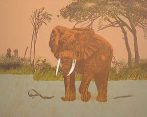 Antonio Segui - Litho, Olifant kopen? Bied vanaf 1!