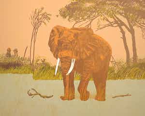 Antonio Segui - Litho, Olifant verkocht voor € 1!