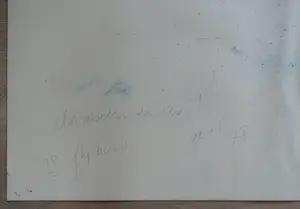 Elizabeth de Vaal - 12 FLYBIRD # genmebgde techniek, 1978, zeer goed kopen? Bied vanaf 275!