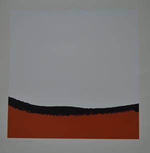 Willy Schmidhamer - Portfolio met 4 zeefdrukken compleet! kopen? Bied vanaf 150!