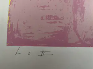 Ton van Kesteren - TWEE ZEEFDRUKKEN kopen? Bied vanaf 59!