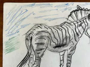 Cornelis Jan Mension - Tekening van een zebra, gemaakt in Artis kopen? Bied vanaf 80!