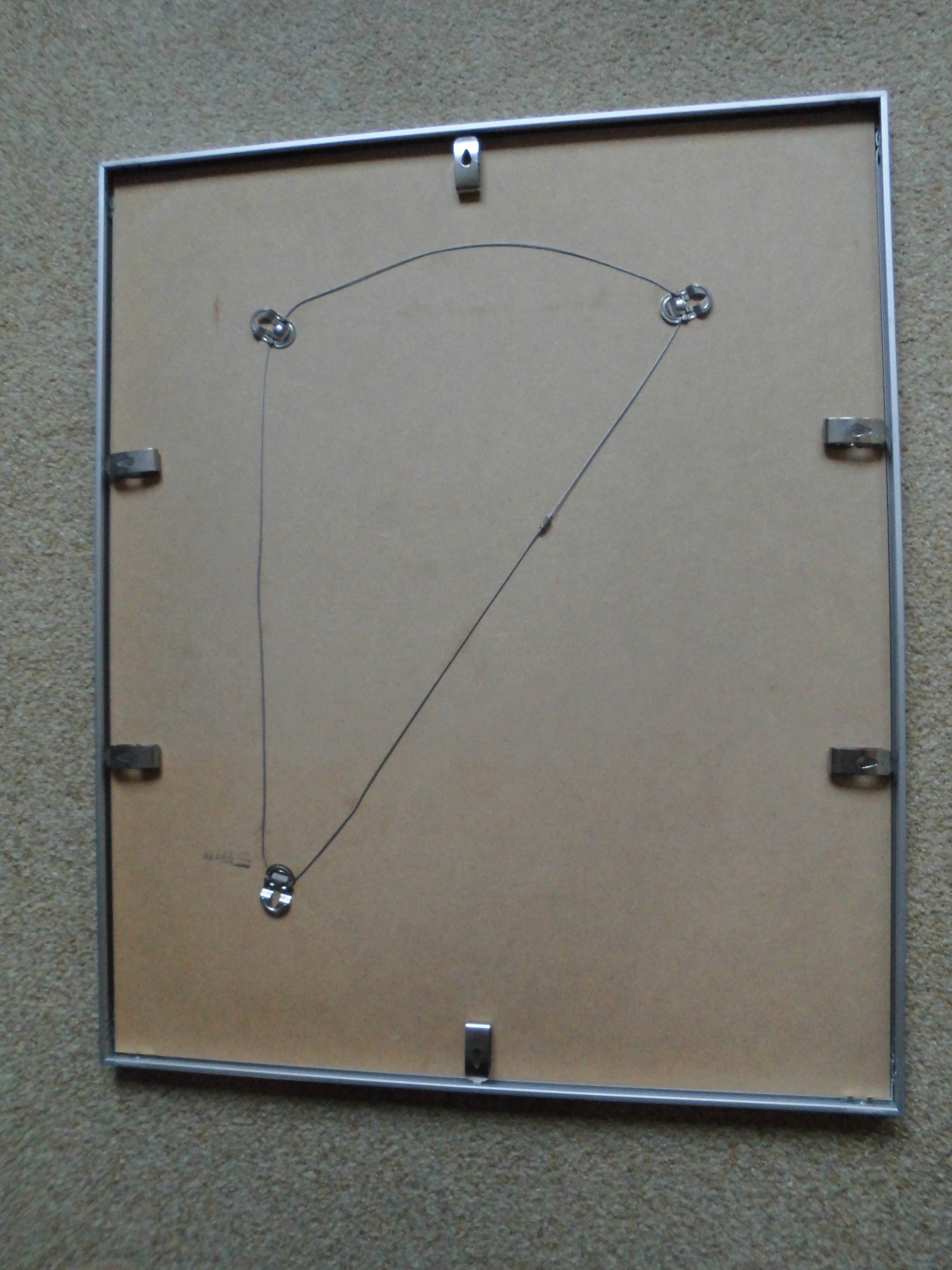 Jan Prins - Grafiek - Planten kopen? Bied vanaf 35!