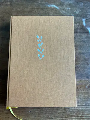 AcheterJasper Krabbé - Zeefdruk en boek in cassette? Enchérissez de 325!