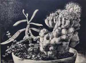 Ina Rahusen - Cactus en Kiezelstenen (2x litho's) verkauft für € 35!