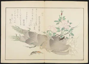 Kitagawa Utamaro - Houtdruk, Insecten bij bamboespruit met roze bloemen kopen? Bied vanaf 35!
