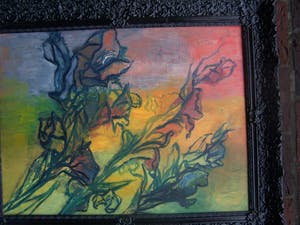 Anita van der Weg - Gladiolen kopen? Bied vanaf 75!