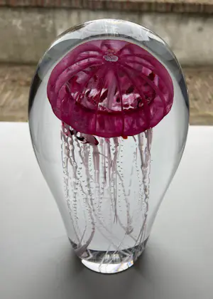 Petr Kuchta - “ Jellyfish “ kopen? Bied vanaf 290!