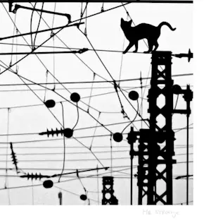 Mr. Strange - De energiecentrale kopen? Bied vanaf 80!