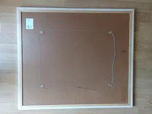 Jurjen Ravenhorst - Zwevend huis kopen? Bied vanaf 30!