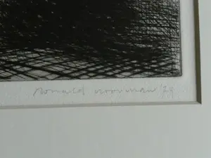 Ronald Noorman - Landschap kopen? Bied vanaf 50!