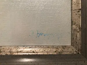 Jan Hoogsteyns - Het Haantje kopen? Bied vanaf 95!