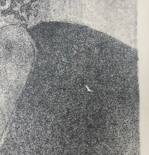 Frans Duin - Litho, Open raam kopen? Bied vanaf 1!