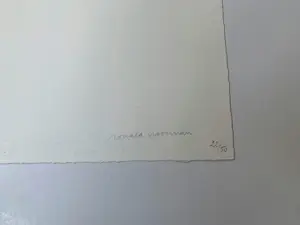 Ronald Noorman - Lithografie Tourniquets kopen? Bied vanaf 69!