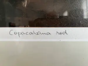 Sjer Jacobs - copacabana red kopen? Bied vanaf 75!
