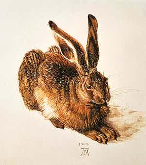 Albrecht Durer - Een jonge haas (op handgeschept papier) verkocht voor € 1!