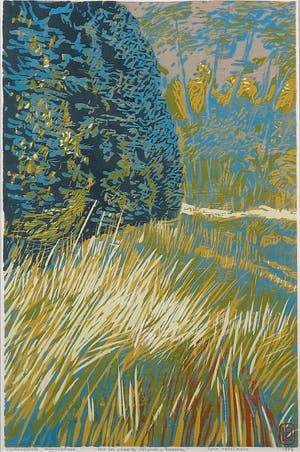 Ellen Urselmann - Houtsnede, Het bos achter de Slotplaats in Bakkeveen - Ingelijst kopen? Bied vanaf 35!