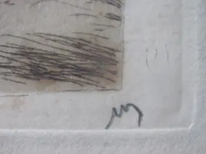 Marius Bauer - Skutari Moskee kopen? Bied vanaf 50!