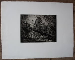 Wim Steijn - Ets/Droge Naald: Bosrand kopen? Bied vanaf 40!