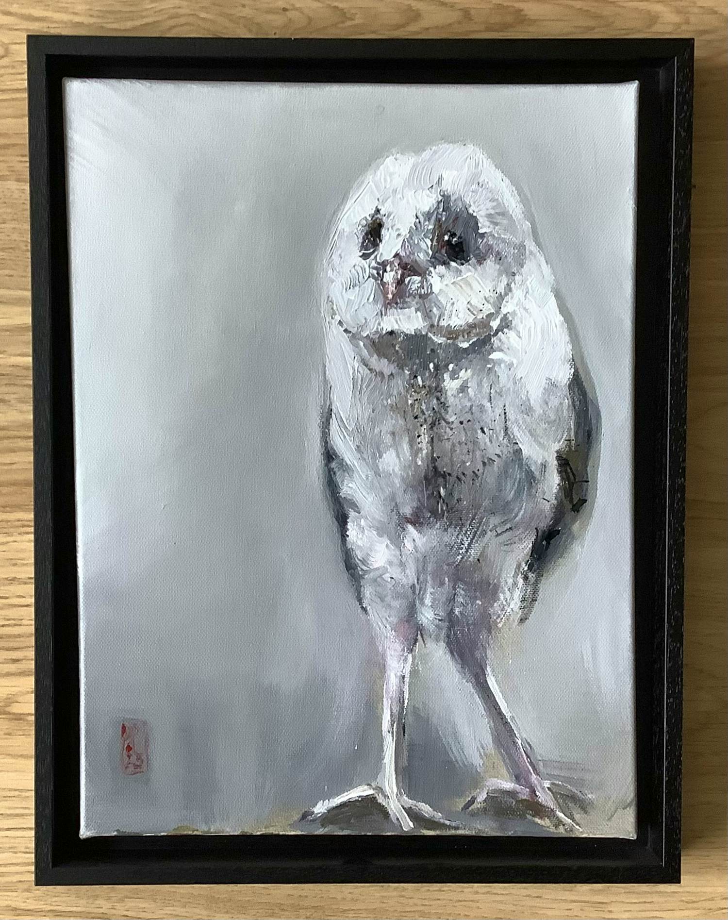 Dorien Plaat - Barnuil kopen? Bied vanaf 350!