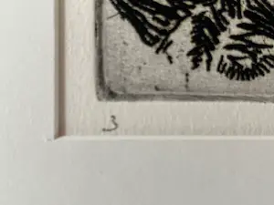 Aad de Haas - De verleiding kopen? Bied vanaf 150!