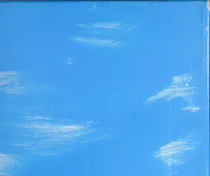 Joost de Munk - Acrylverf op doek, Op maat kopen? Bied vanaf 1!