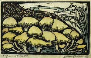 Jan Schonk - Z.t. (honingzwammen) kopen? Bied vanaf 85!