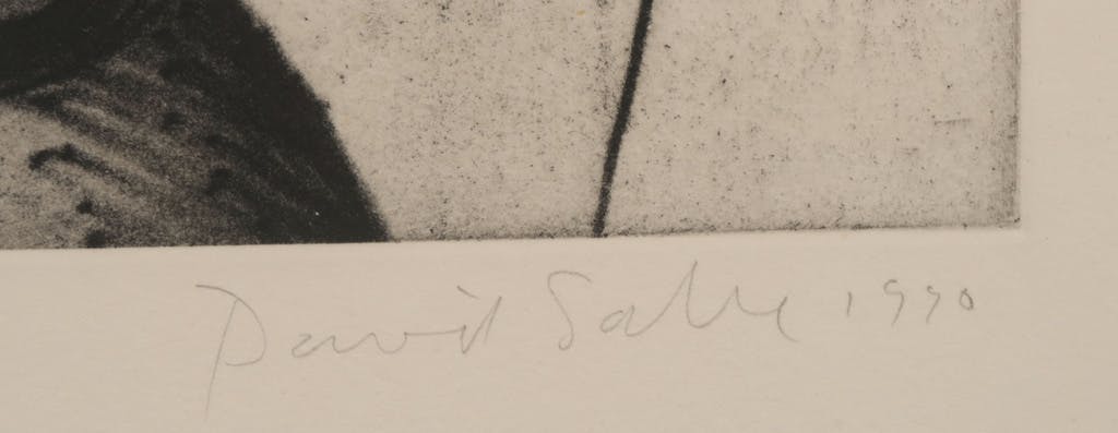 David Salle - handgesigneerde grafiek oplage 12/100 kopen? Bied vanaf 75!