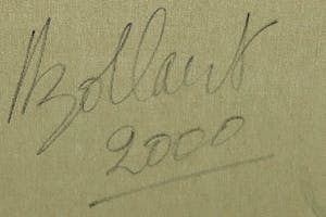 Jan Bollaert - Acryl op doek, Woosh Angel- Ingelijst (Groot) kopen? Bied vanaf 80!