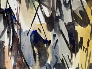 Frans Hollaardt - Boomgroep kopen? Bied vanaf 65!