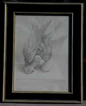 Peter Vos - grote ingelijste tekening: Stilleven van een "harpy" - 1970 kopen? Bied vanaf 595!