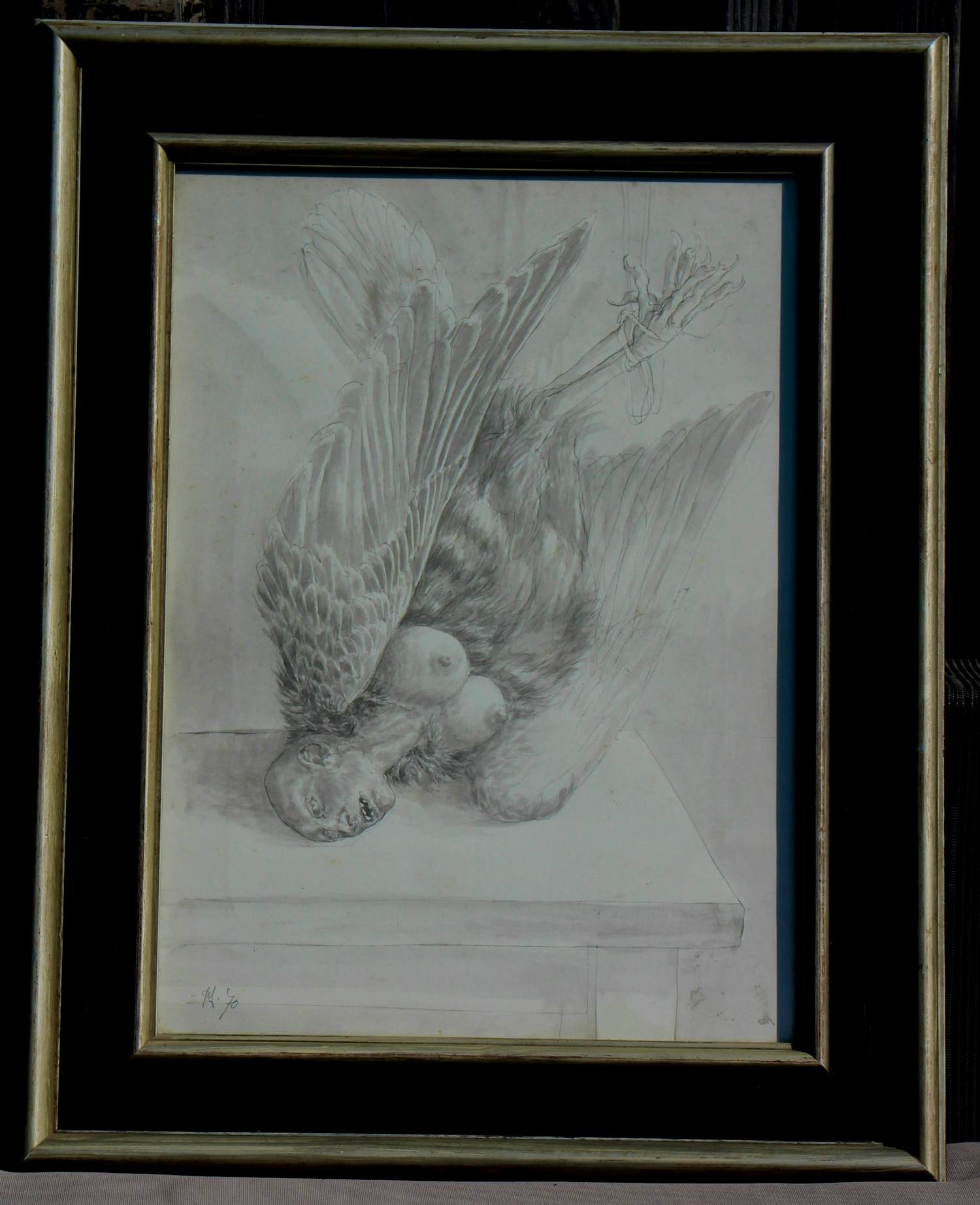Peter Vos - grote ingelijste tekening: Stilleven van een "harpy" - 1970 kopen? Bied vanaf 595!